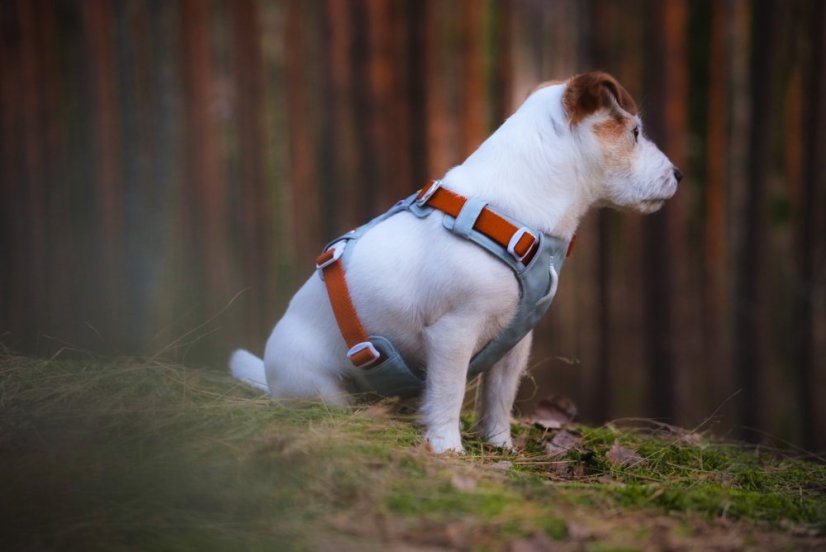 POSTROJ GLACIER GREEN MIX 8