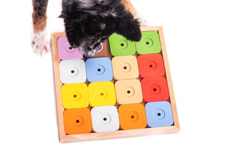 SUDOKU MY INTELLIGENT DOGS MEDIUM GENIE BAREVNÉ - OBTÍŽNOST 4