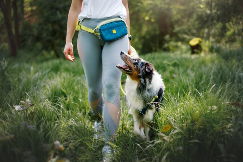 PAMLSKOVNÍK DEEP TEAL