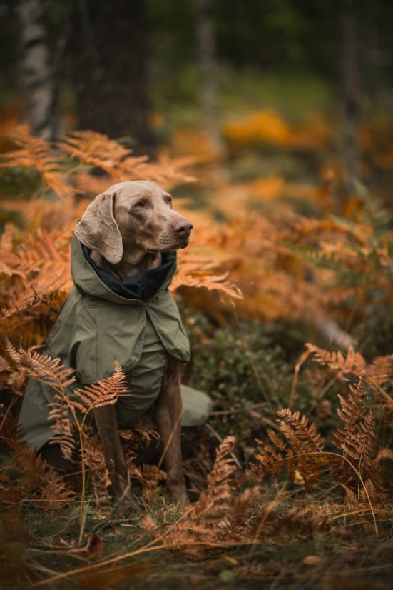 REFLEXNÍ PLÁŠTĚNKA PAIKKA ZELENÁ - Velikost: 50