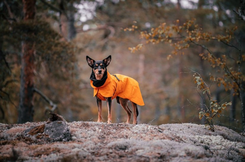 REGENERAČNÍ  REFLEXNÍ PLÁŠTĚNKA PAIKKA ORANŽOVÁ - Velikost: 55