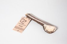 PŮLENÉ JELENÍ PAROŽÍ