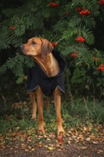 REGENERAČNÍ SOFTSHELLOVÝ OBLEČEK PAIKKA