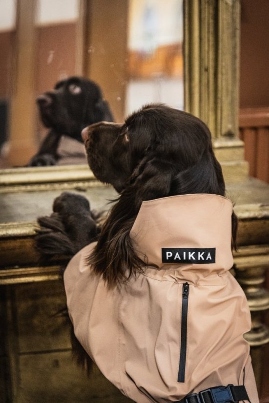 REFLEXNÍ PLÁŠTĚNKA PAIKKA TAUPE - Velikost: 50