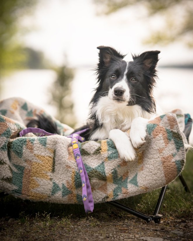 VODÍTKO NORTHERN LIGHTS