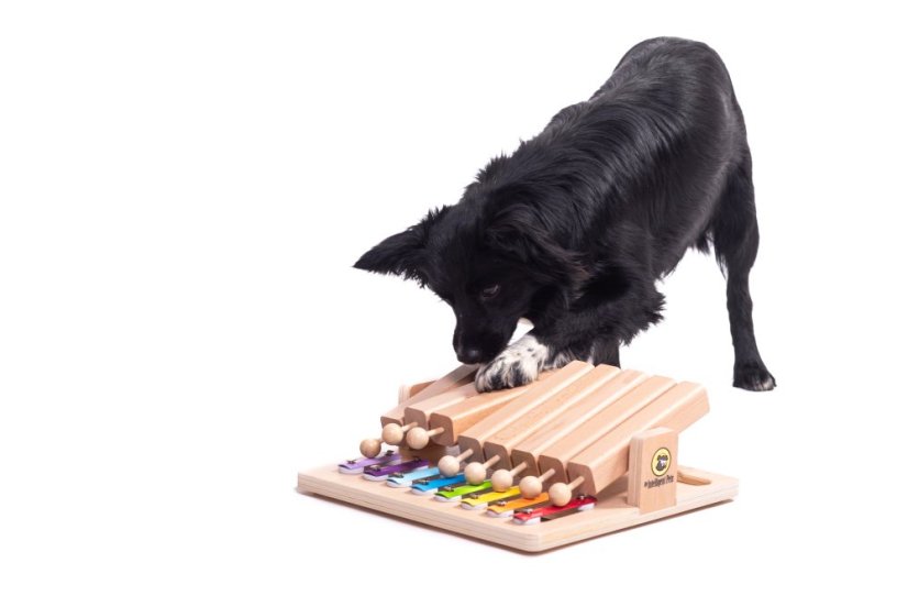 HLAVOLAM PIANO MY INTELLIGENT PETS - OBTÍŽNOST 4