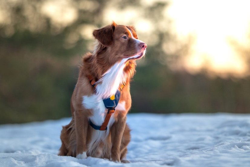 POSTROJ LIME MIX - Vyberte velikost: M