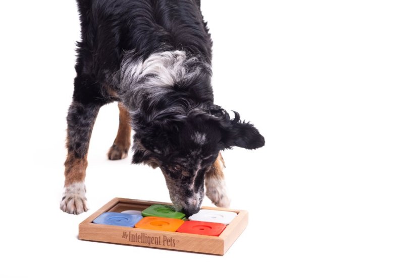 SUDOKU MEDIUM MY INTELLIGENT DOGS ADVANCED BAREVNÉ - OBTÍŽNOST 2