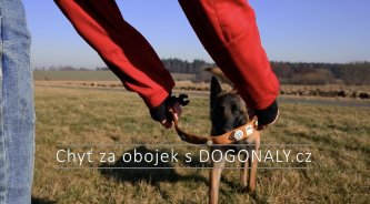 Hra chyť za obojek