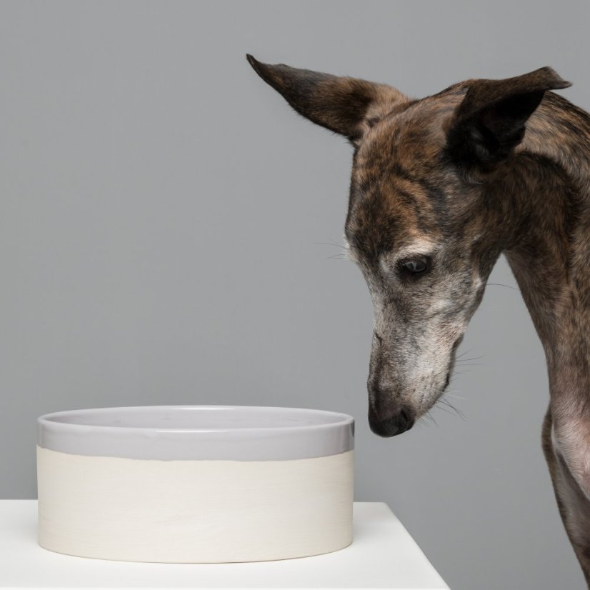 Swaggin Tails Miska KÄKA šedá 4