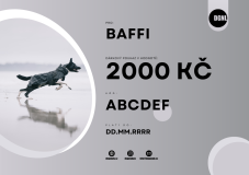 DÁRKOVÝ POUKAZ 2000 KČ