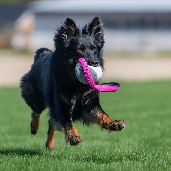 BUNGEE CHEEWIE - Barva: Růžová/černá