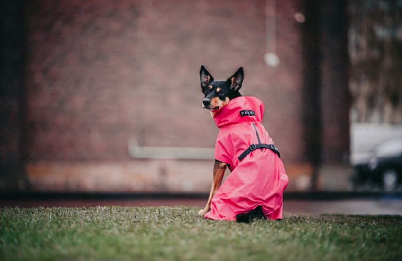 REFLEXNÍ PLÁŠTĚNKA PAIKKA RŮŽOVÁ LITE - Velikost: 60