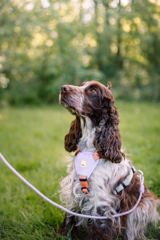 POSTROJ COLOR BLOCK RŮŽOVÝ