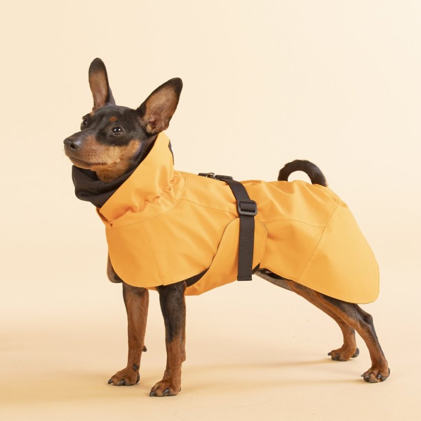 REGENERAČNÍ  REFLEXNÍ PLÁŠTĚNKA PAIKKA ORANŽOVÁ - Velikost: 55