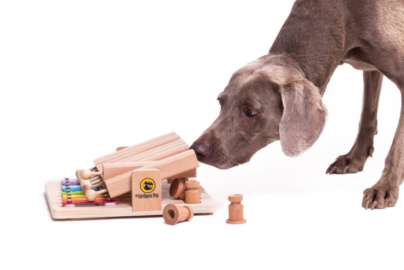 HLAVOLAM PIANO MY INTELLIGENT PETS - OBTÍŽNOST 4