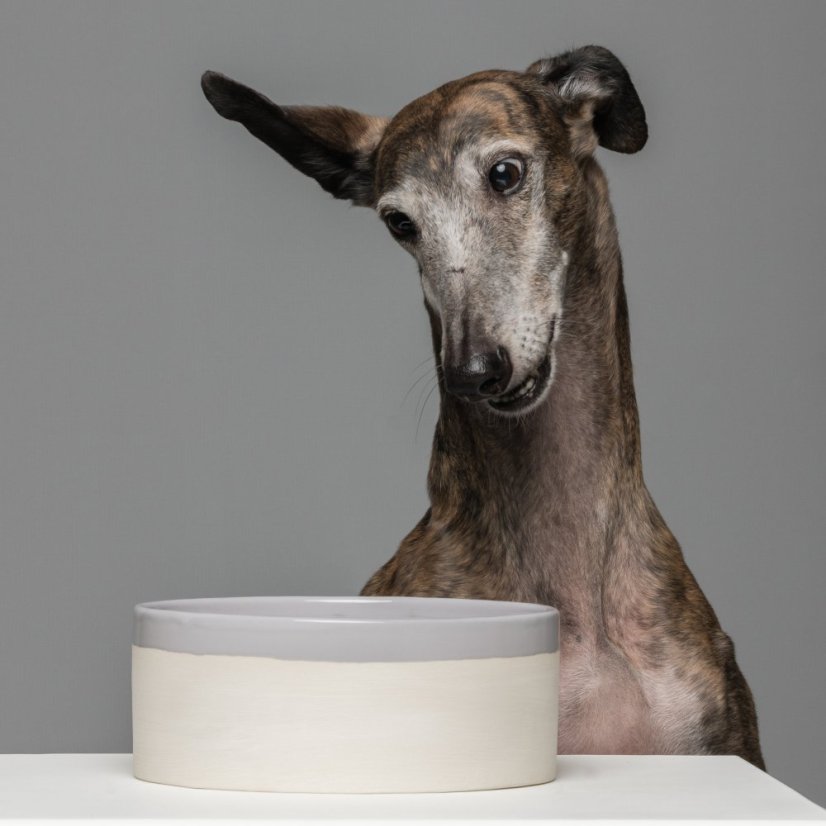 Swaggin Tails Miska KÄKA šedá