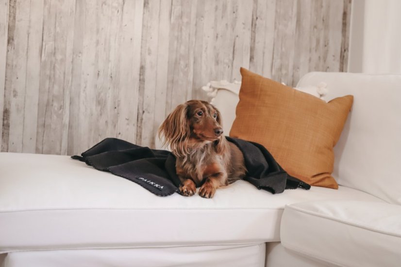 REGENERAČNÍ DEKA ČERNÁ