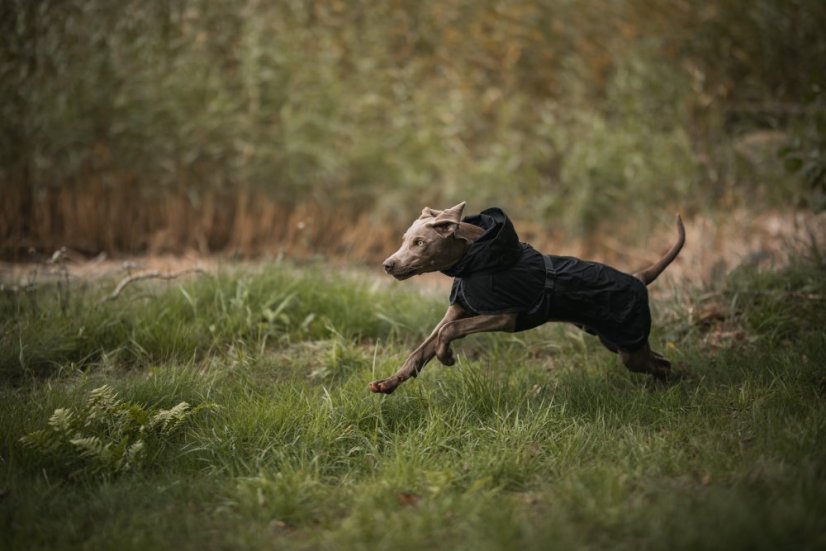 REGENERAČNÍ PLÁŠTĚNKA PAIKKA LITE ČERNÁ - Velikost: 45