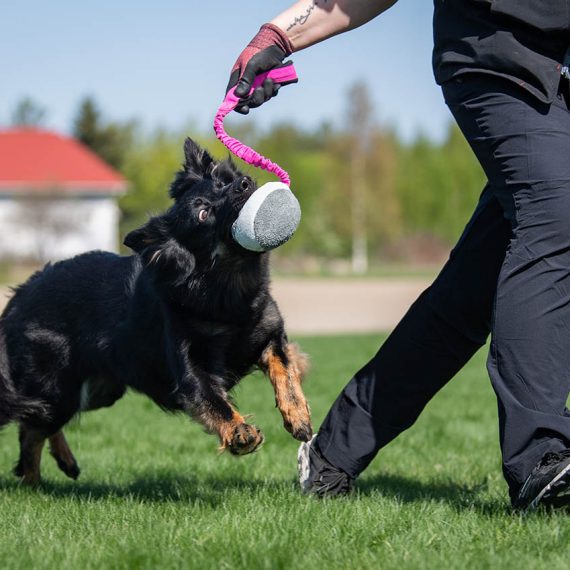 BUNGEE CHEEWIE - Barva: Růžová/černá
