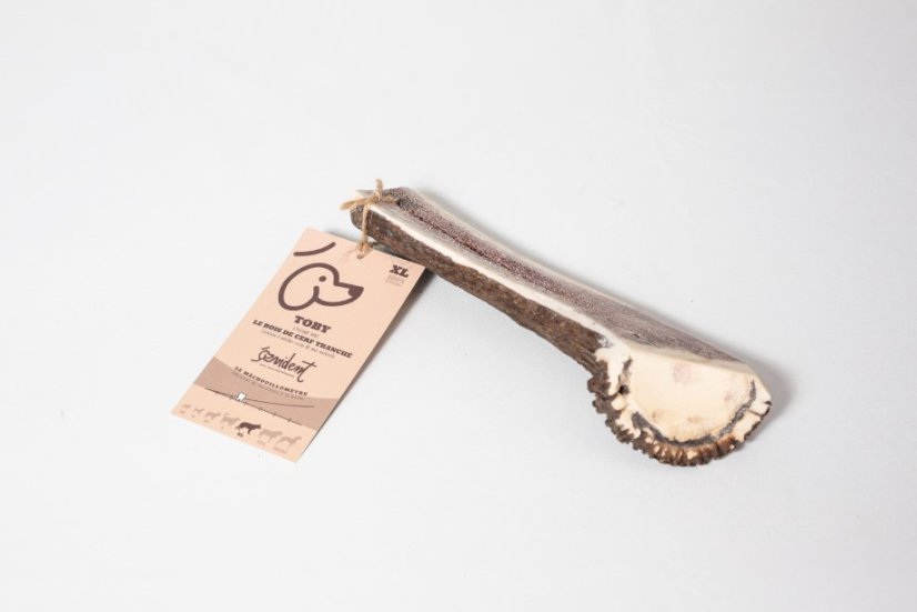 PŮLENÉ JELENÍ PAROŽÍ - Varianta:: XS