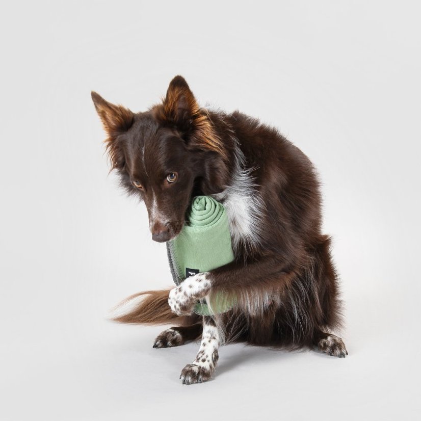 REGENERAČNÍ DEKA ZELENÁ - Rozměr: 70 x 100cm