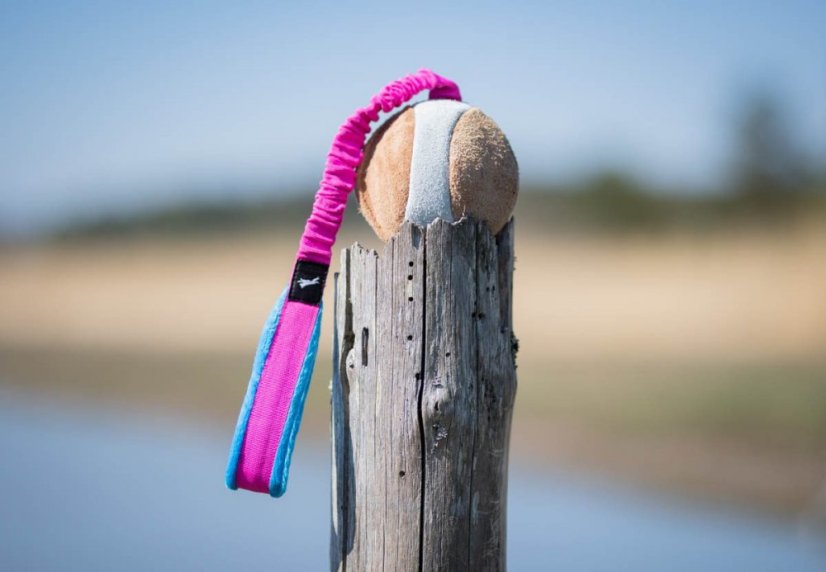 BUNGEE CHEEWIE - Barva: Růžová/černá