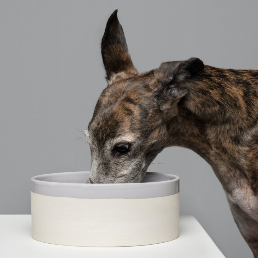 Swaggin Tails Miska KÄKA šedá 3