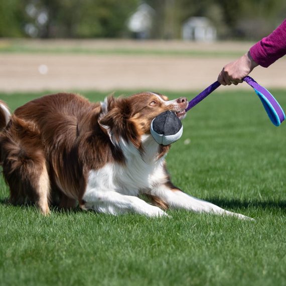 BUNGEE CHEEWIE - Barva: Růžová/černá