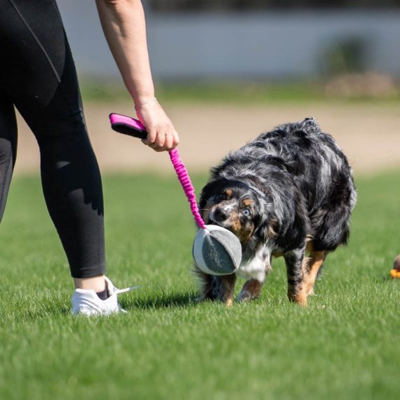 BUNGEE CHEEWIE - Barva: Růžová/černá