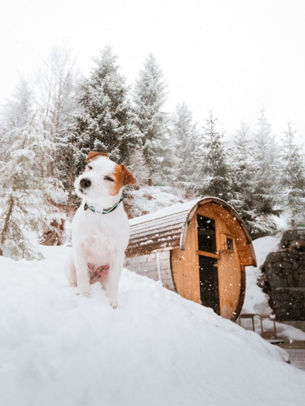 OBOJEK EUCALYPTUS - Velikost obojku: 25 - 35