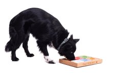 SUDOKU MEDIUM MY INTELLIGENT DOGS ADVANCED BAREVNÉ - OBTÍŽNOST 2