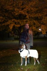 Žlutá pláštěnka pro psa PAIKKA