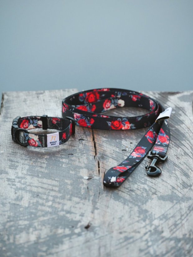 OBOJEK WILD ROSE - Velikost obojku: 30 - 45