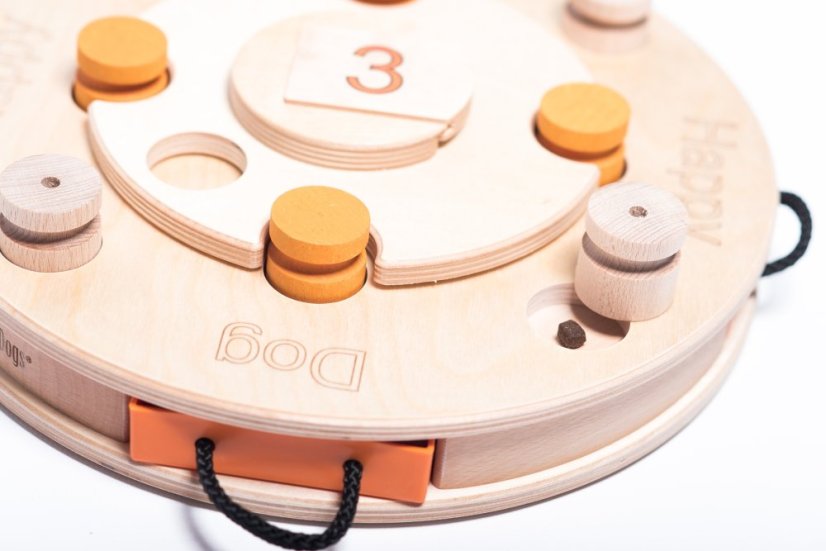 HLAVOLAM NAROZENINOVÝ DORT MY INTELLIGENT DOGS - OBTÍŽNOST 4