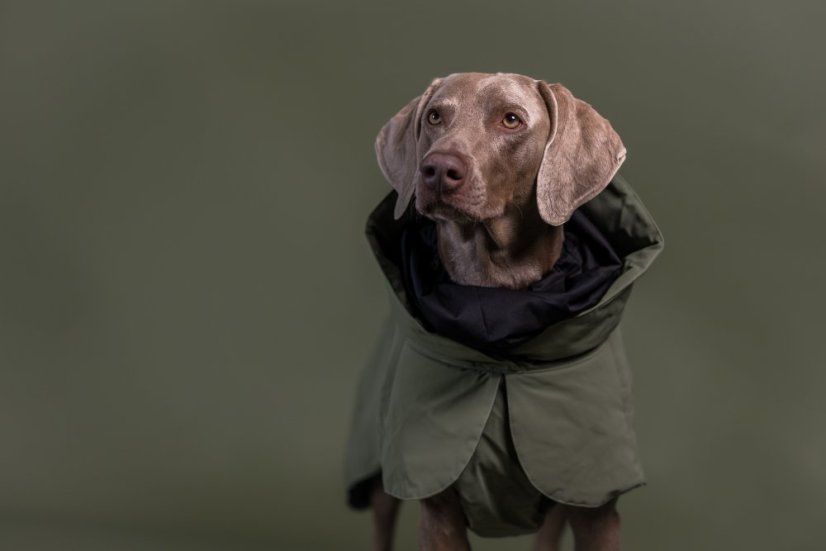 ZIMNÍ REFLEXNÍ BUNDA PAIKKA WOOL GREEN - Velikost: 35