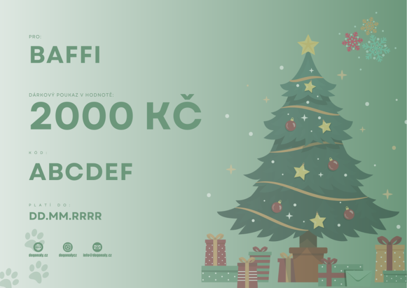 DÁRKOVÝ POUKAZ 2000 KČ - Typ poukazu: Klasický
