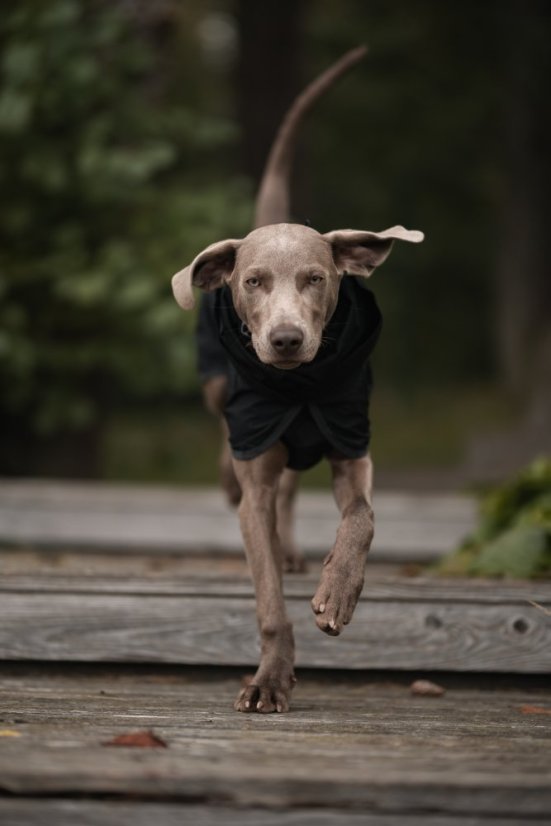 REGENERAČNÍ PLÁŠTĚNKA PAIKKA LITE ČERNÁ - Velikost: 45