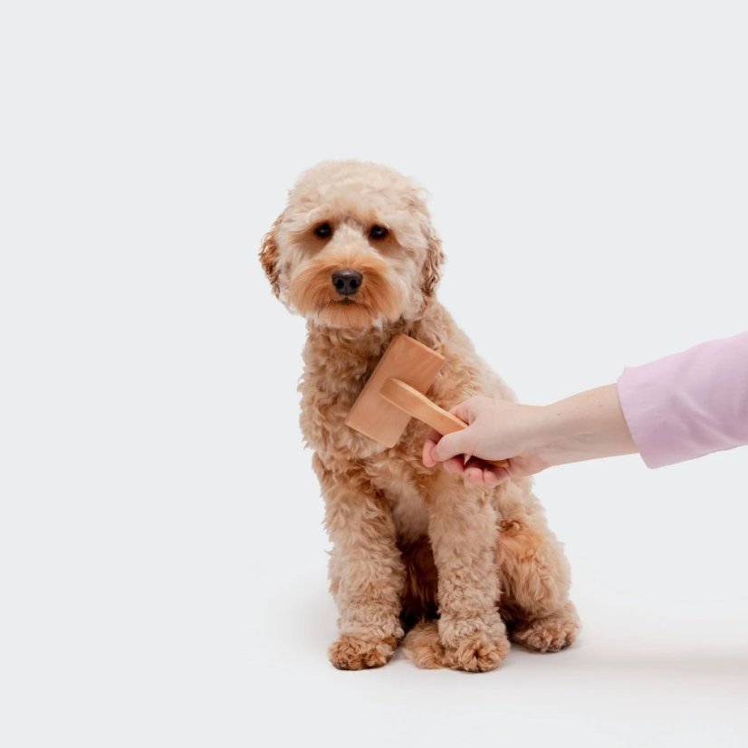 BAMBUSOVÝ DRÁTKOVÝ KARTÁČ