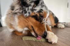 ŽVÝKACÍ SÝROVÁ TYČKA SE SPIRULINOU