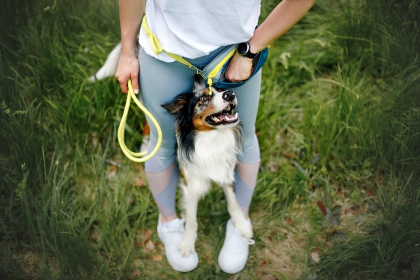 PAMLSKOVNÍK DEEP TEAL