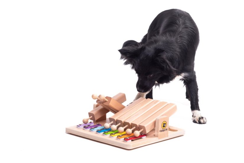 HLAVOLAM PIANO MY INTELLIGENT PETS - OBTÍŽNOST 4