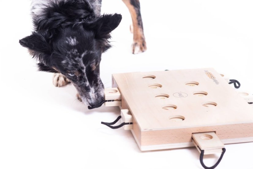 HLAVOLAM IPET SMART DOG MY INTELLIGENT DOGS - OBTÍŽNOST 3