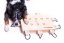 HLAVOLAM IPET SMART DOG MY INTELLIGENT DOGS - OBTÍŽNOST 3