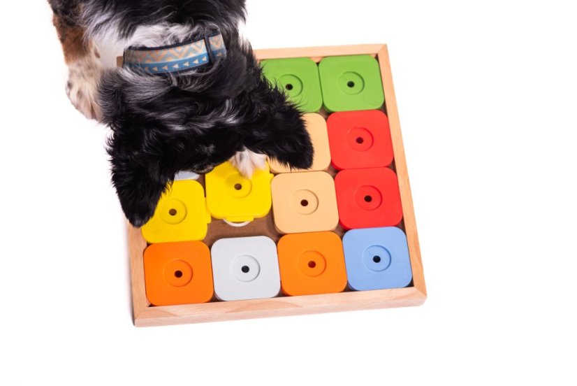 SUDOKU MY INTELLIGENT DOGS MEDIUM GENIE BAREVNÉ - OBTÍŽNOST 4