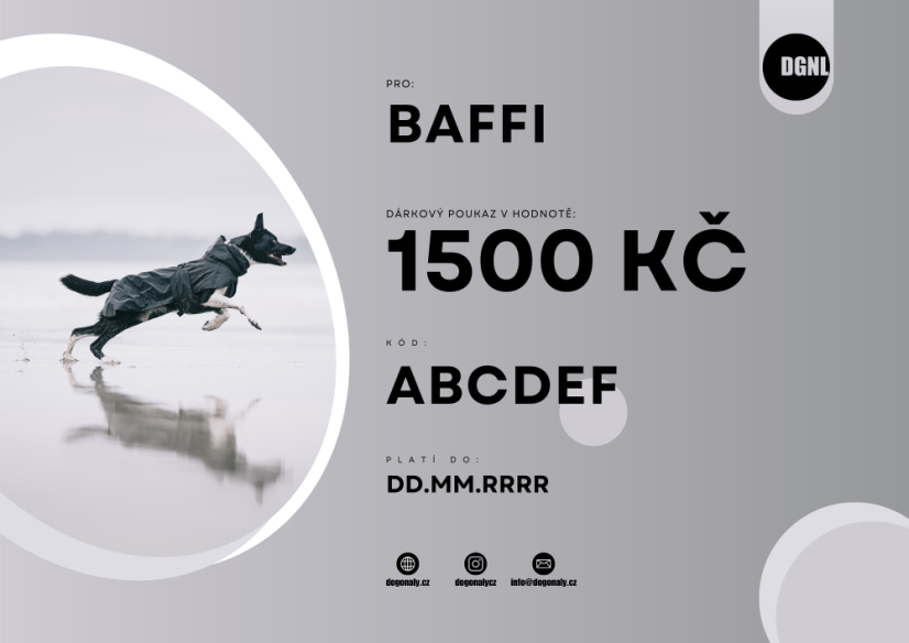 DÁRKOVÝ POUKAZ 1500 KČ