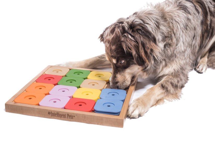 SUDOKU MY INTELLIGENT DOGS MEDIUM GENIE BAREVNÉ - OBTÍŽNOST 4