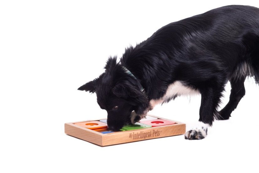 SUDOKU MEDIUM MY INTELLIGENT DOGS ADVANCED BAREVNÉ - OBTÍŽNOST 2